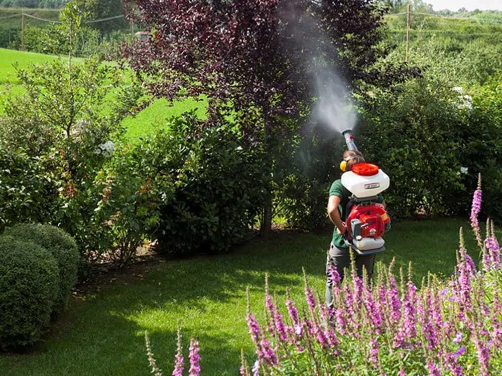 Atomizzatore A Scoppio A Spalla Efco - AT 8000 - 72 Cc - Spalleggiato A Zaino - immagine 2