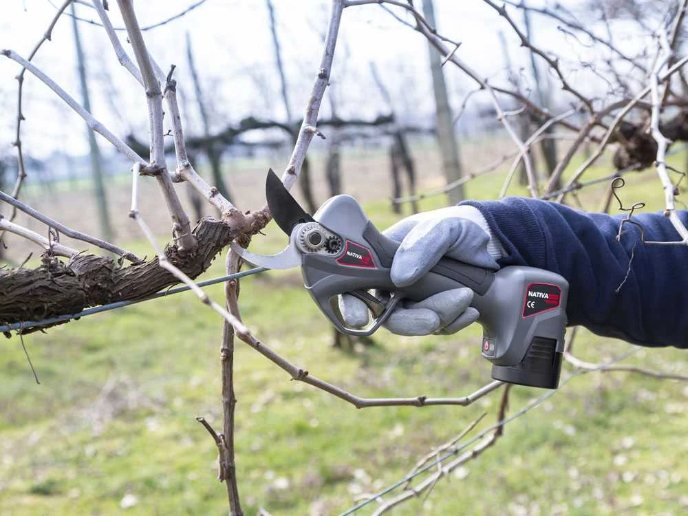 Ausonia Nativa Medium - Forbice Elettriche Da Potatura - 2x 16.8V 2.5Ah - Ø32 Mm - immagine 3