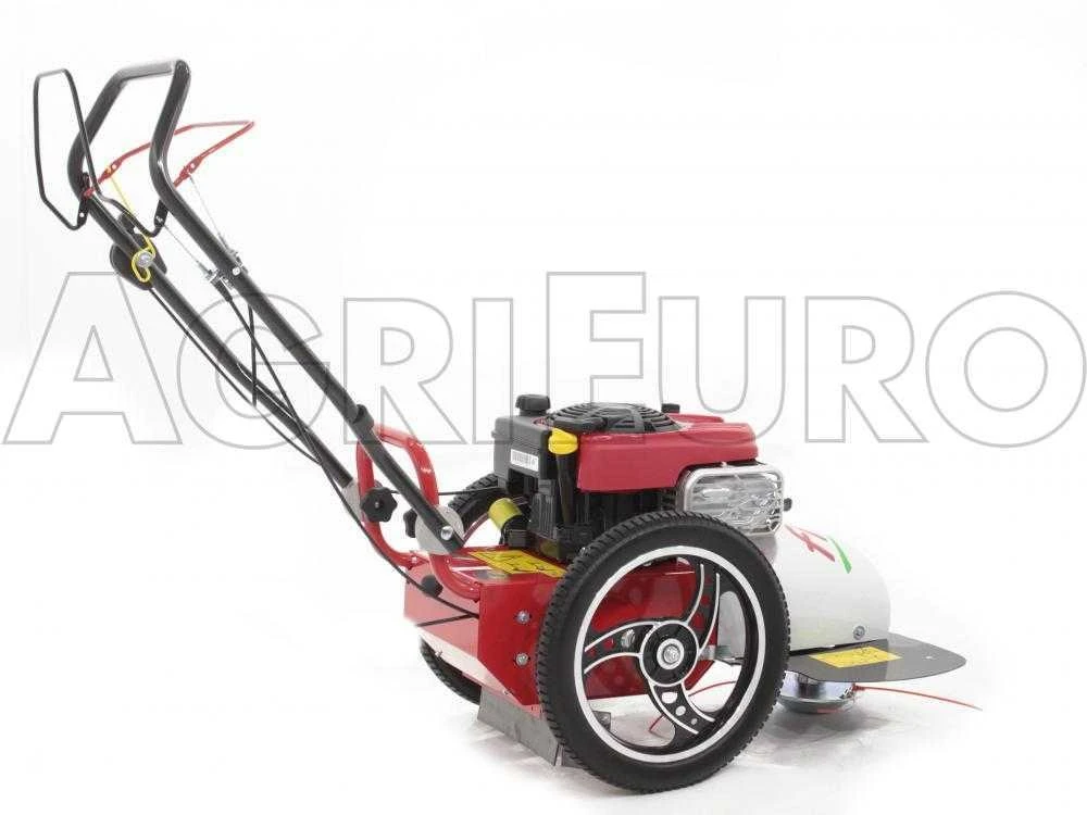 Blue Bird FLO Pro Speed 6BS - Trinciaerba A Scoppio - Lama E Filo - B&S 850E - immagine 3