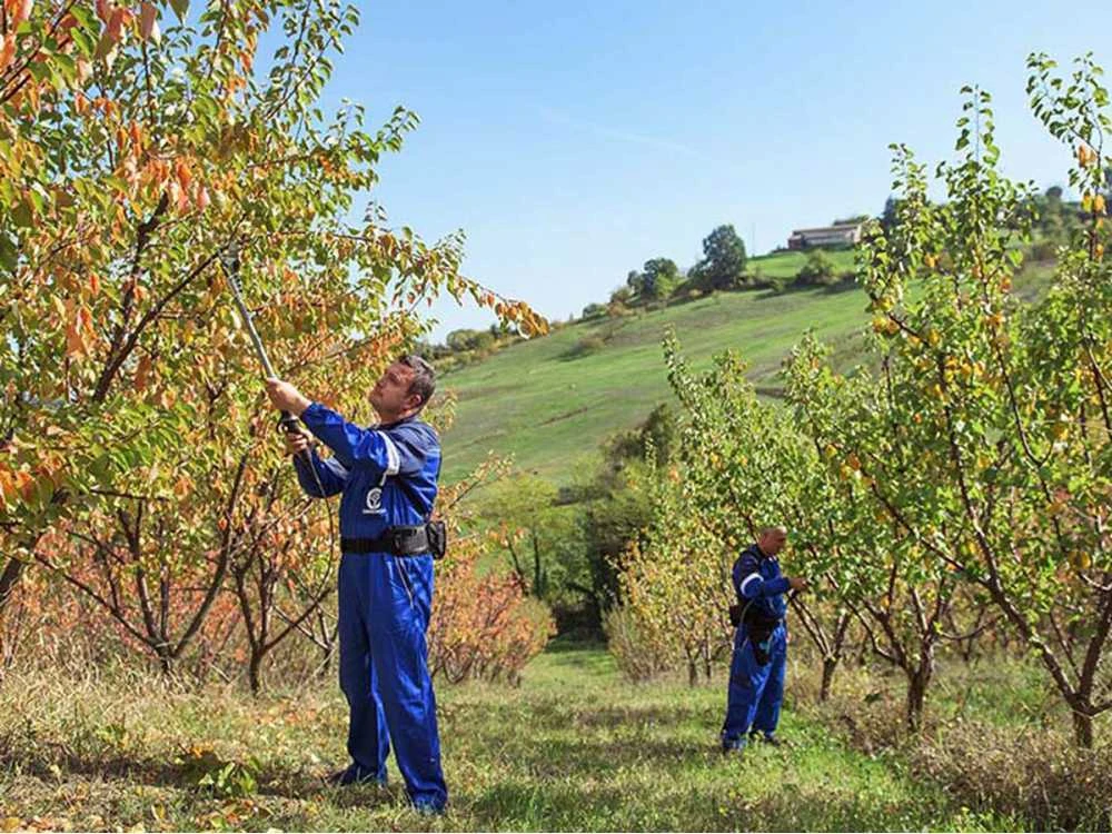 Campagnola Easy 150 - Forbice Elettrica Da Potatura - SENZA BATTERIA E CARICABATTERIA - immagine 3