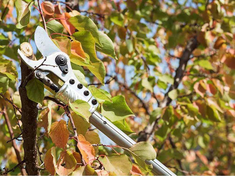 Campagnola Easy 150 - Forbice Elettrica Da Potatura - SENZA BATTERIA E CARICABATTERIA - immagine 4