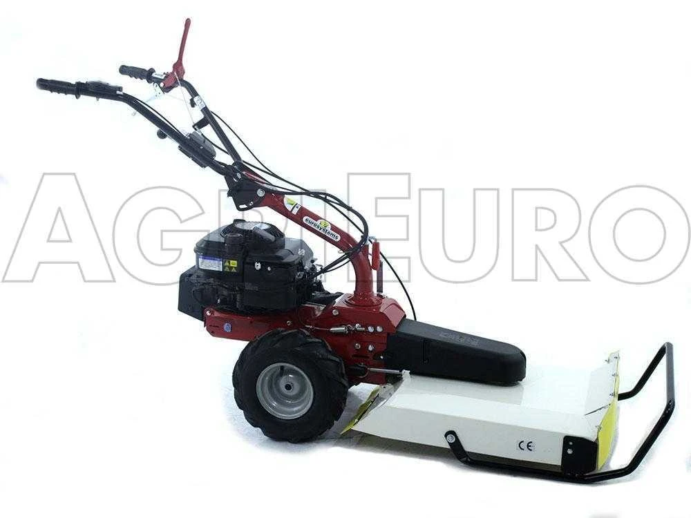 Eurosystems P55V - Trinciaerba A Scoppio - Lama - B&S 675iS - immagine 3