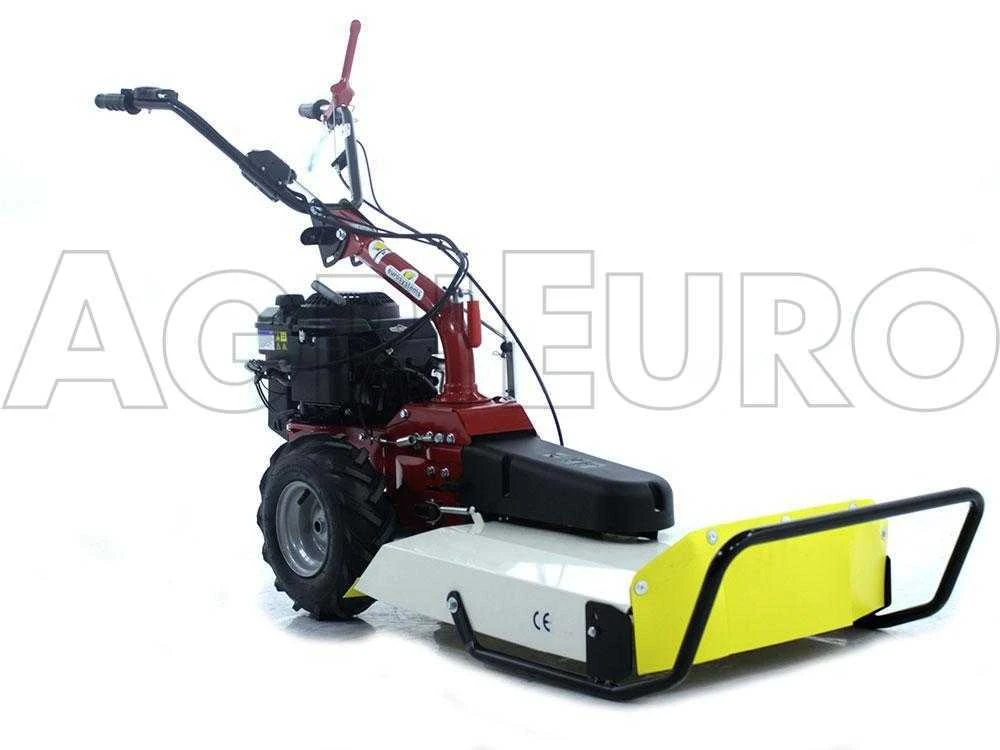 Eurosystems P55V - Trinciaerba A Scoppio - Lama - B&S 675iS - immagine 2