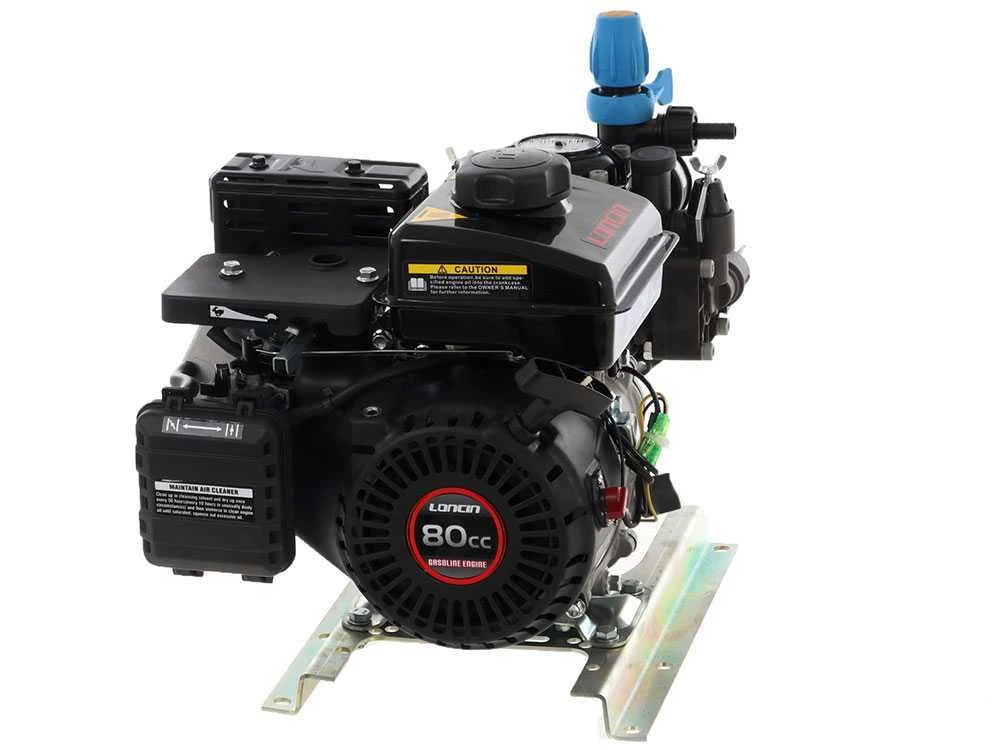 Motopompa Irrorazione Con Pompa Comet MTP MC 25 Motore A Scoppio 4 Tempi - immagine 13