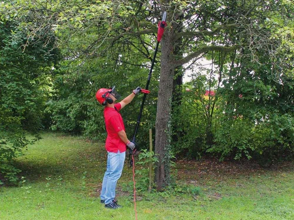 Potatore Elettrico 750W Einhell GC-EC 750 T Con Asta Telescopica In Fibra Di Vetro - immagine 2
