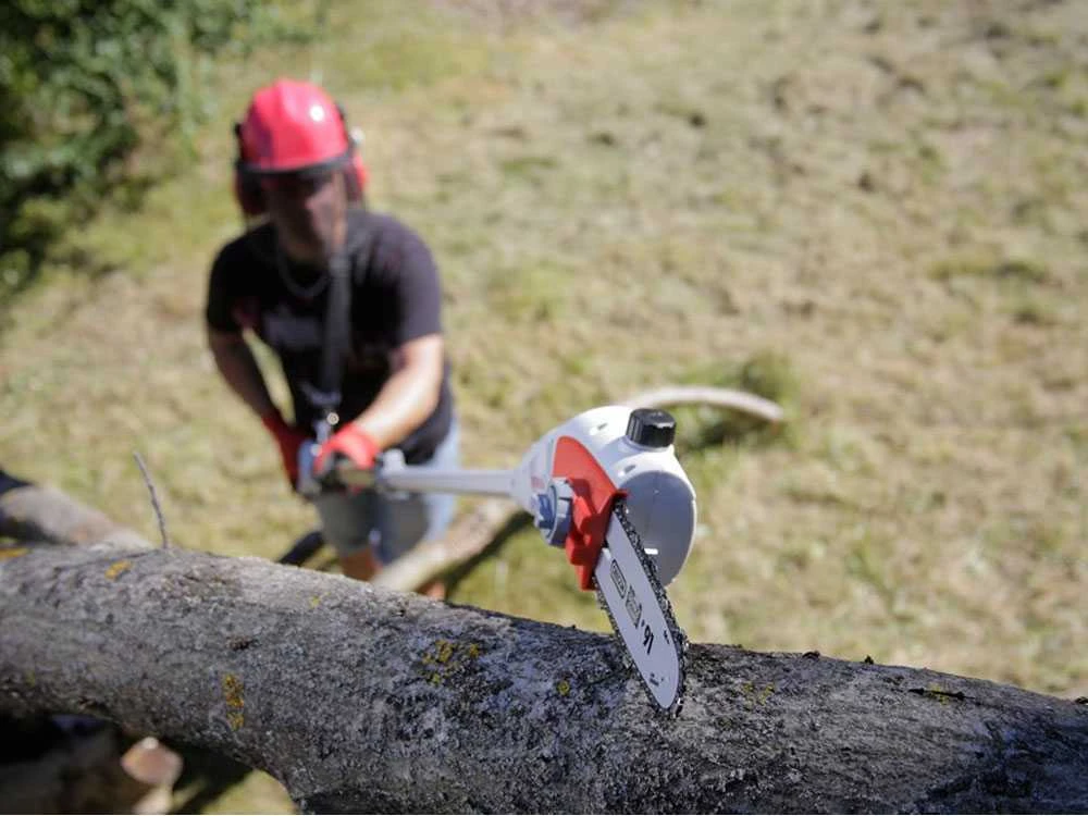 Potatore Elettrico IKRA IEAS 750 Con Asta Telescopica- Sega A Catena - immagine 11